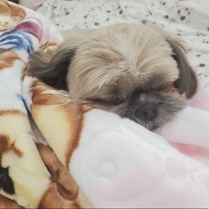 Meet your Posher, Nina